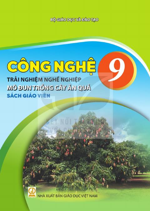 Sách giáo viên Công nghệ 9 - Trải nghiệm nghề nghiệp - Mô đun Trồng cây ăn quả - Kết nối tri thức 2026-2027